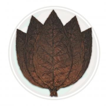 Tobacco Fact: Brazilian Arapiraca Leaf Wrapper